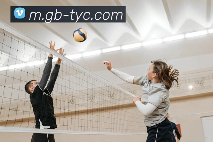 澳门太阳城APP 封面图